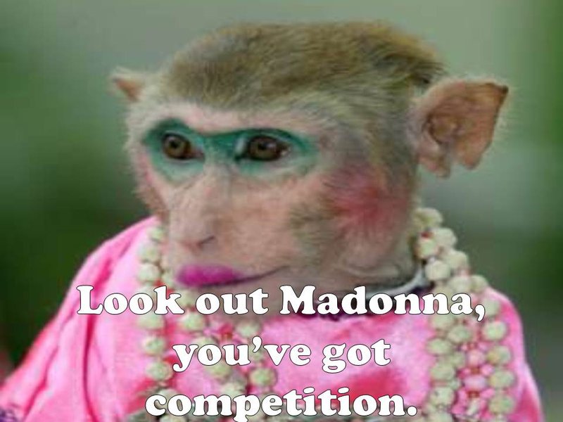 Look out Madonna, you’ve got competition.jpg