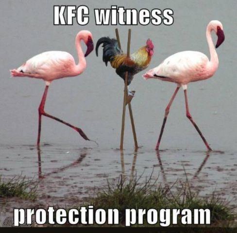KFC_Witness_Protection.jpg