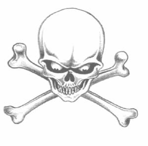 wickedskull.gif