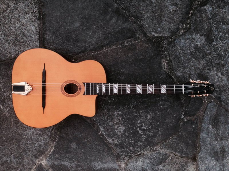 cigano gitane.JPG (433.31 KiB) Viewed 2349 times cheeseburger color?