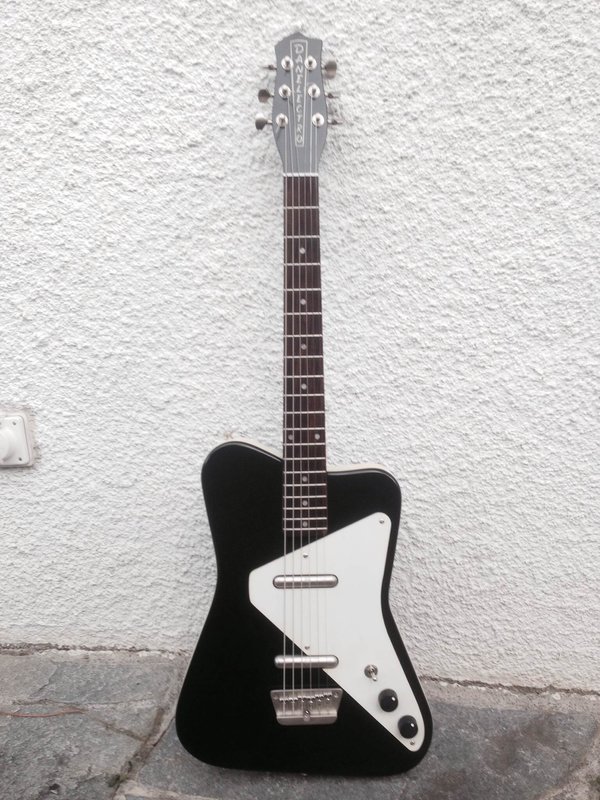 danelectro.JPG