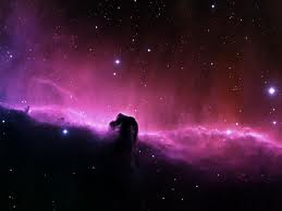 Space horse Nebula